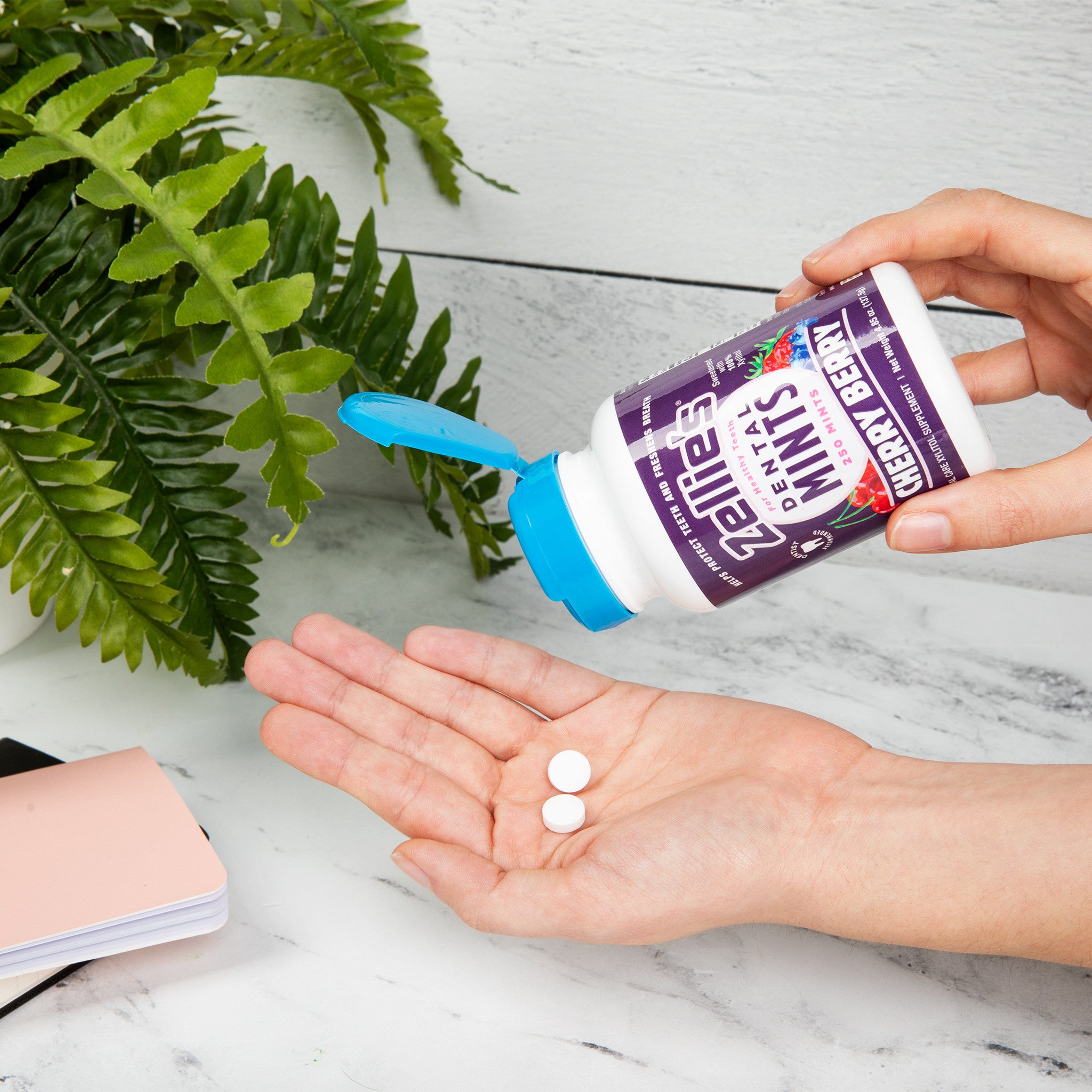 CHERRY BERRY Xylitol Dental Mints - Wholesale