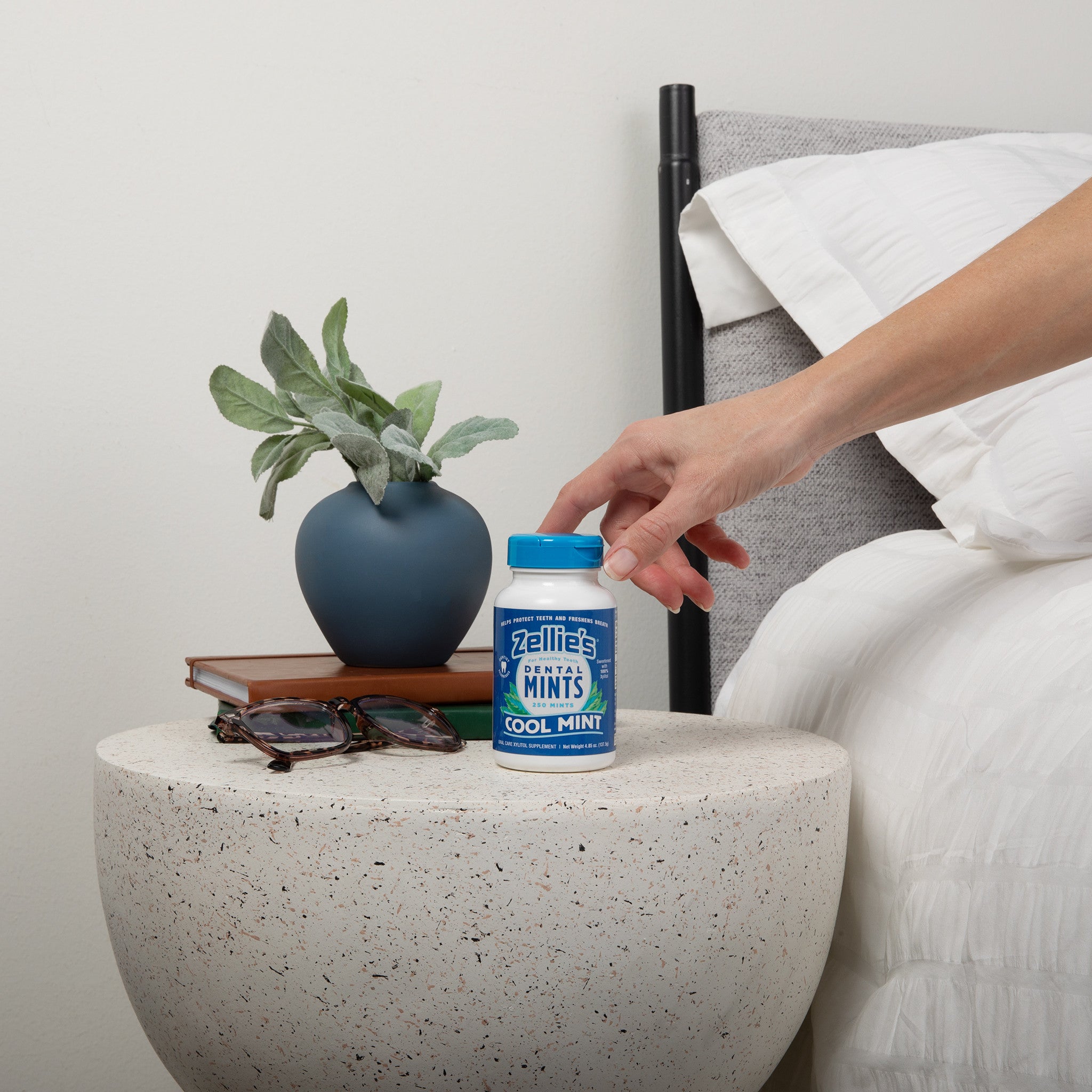 COOL MINT Xylitol Dental Mints - Wholesale